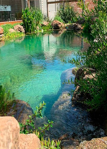 Искусственный водоём