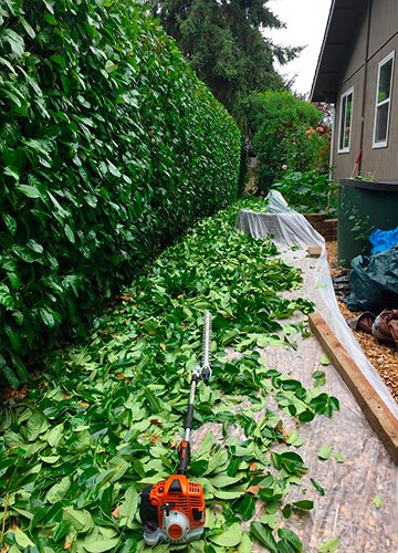 Обслуживание