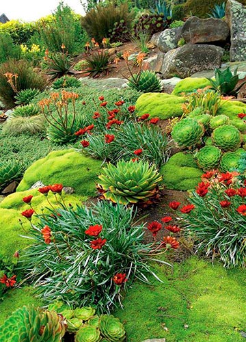 Каменистый сад