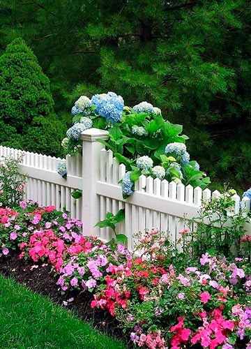 Устройство клумб