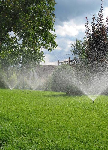 Проект полива