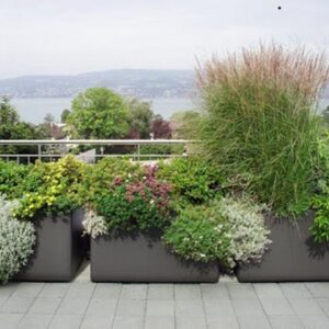 мобильное озеленение