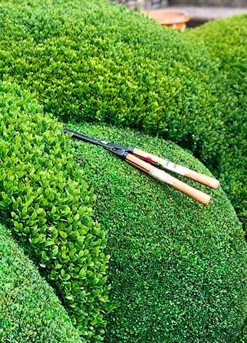 Уход за садом