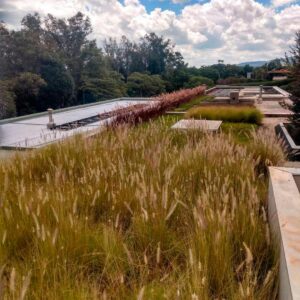 озеленение крыш