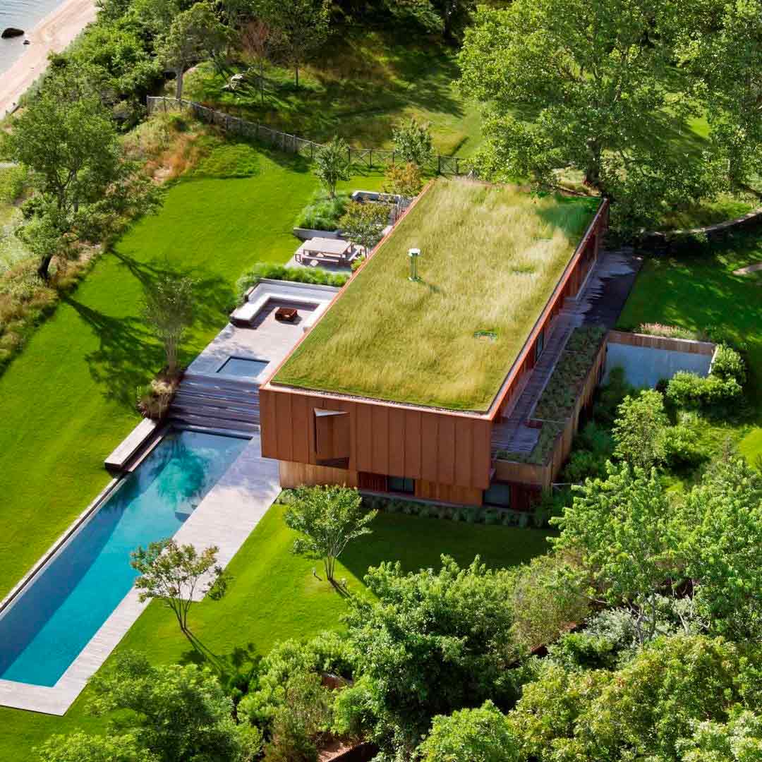 озеленение крыш