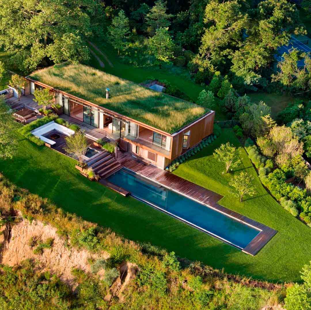 озеленение крыш