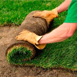 укладка рулонного газона